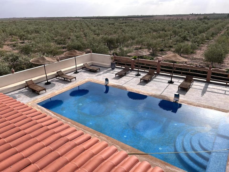 Villa in an Organic Olive Farm Villa in Marrakesh-Safi