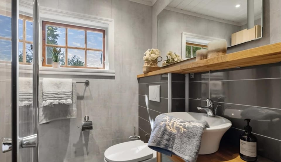 Shower, Toilet, Bathroom, towels