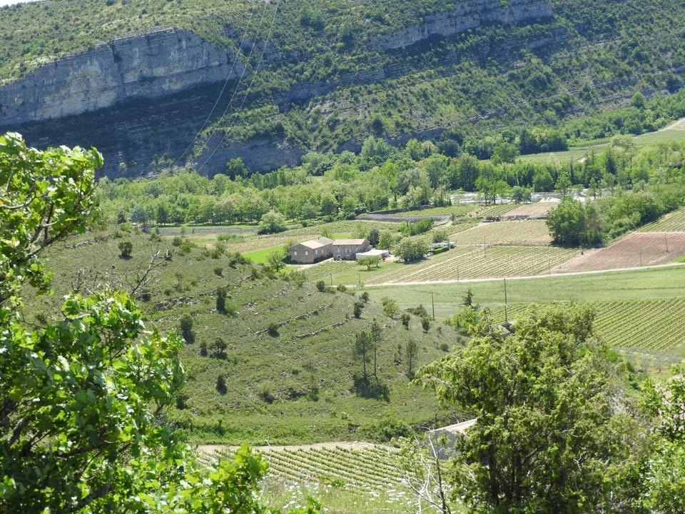 Shower, Toilet, Patio, Spring, Day, Natural landscape, Bird's eye view, BBQ facilities, BBQ facilities, Fishing, Fishing, Bathroom, TV and multimedia, Coffee/tea facilities, Balcony/Terrace, Balcony/Terrace, Kitchen or kitchenette, Seating area, Dining area, Canoeing, Canoeing, Hiking, Hiking, Cycling, Cycling, Bedroom, On site