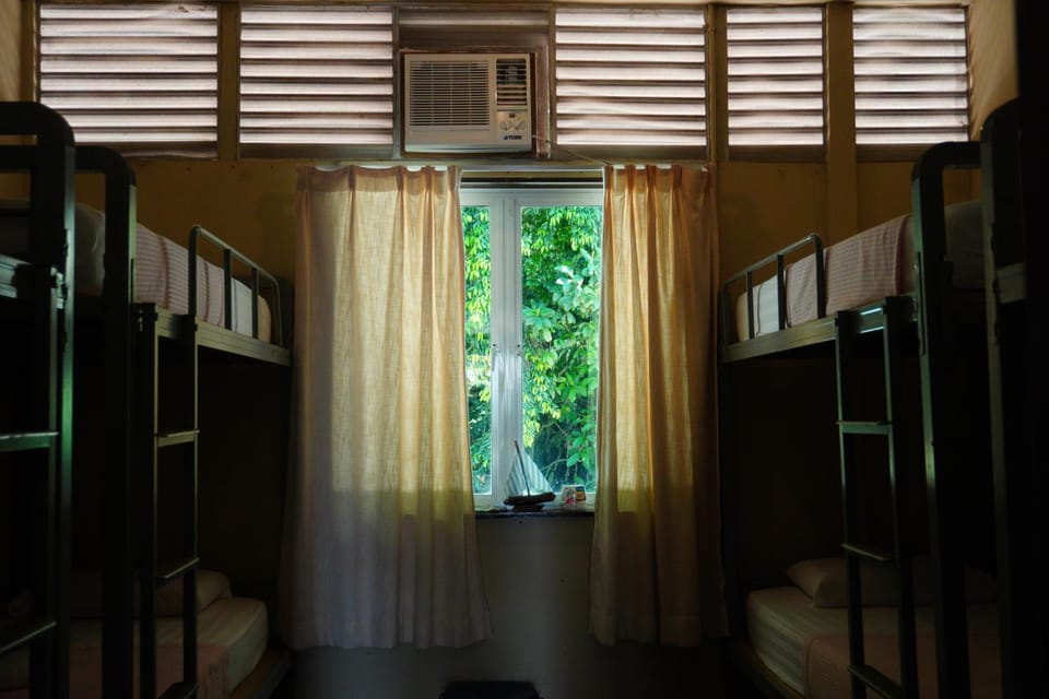 bunk bed