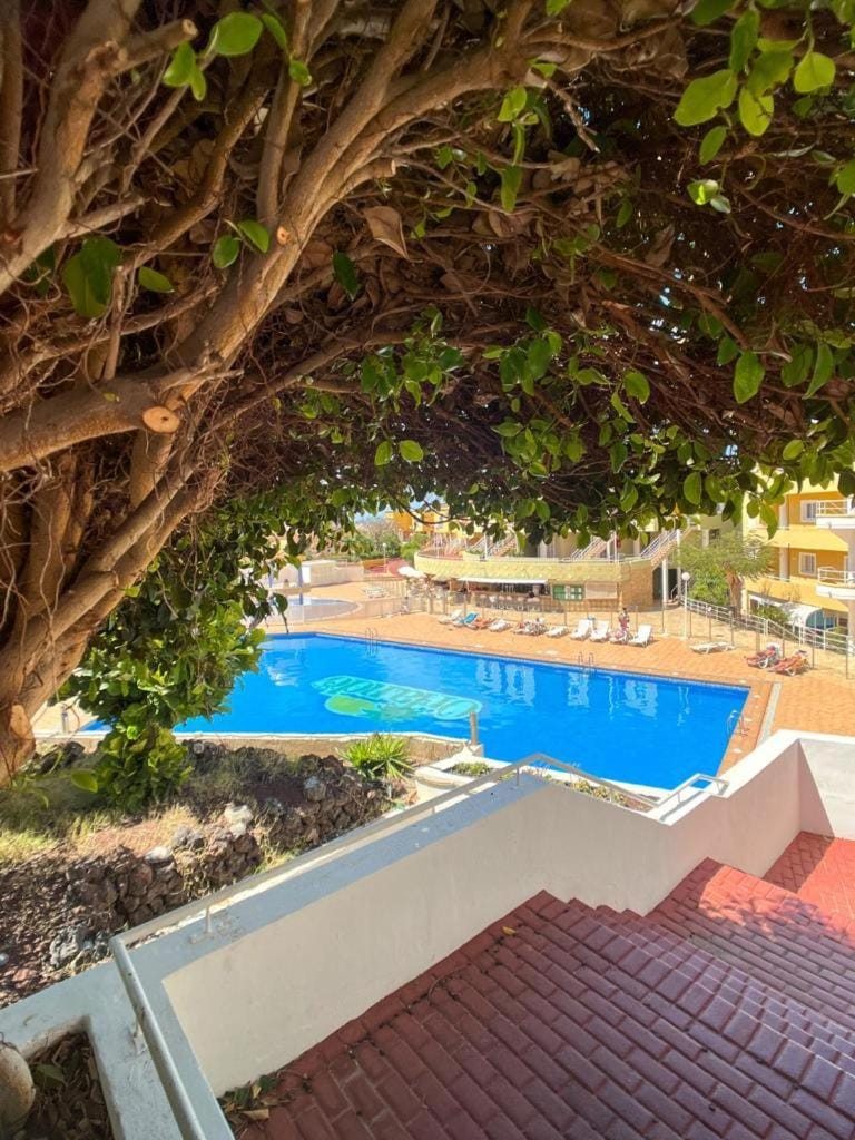 Orlando Suite Fanabe Beach Apartment in Costa Adeje