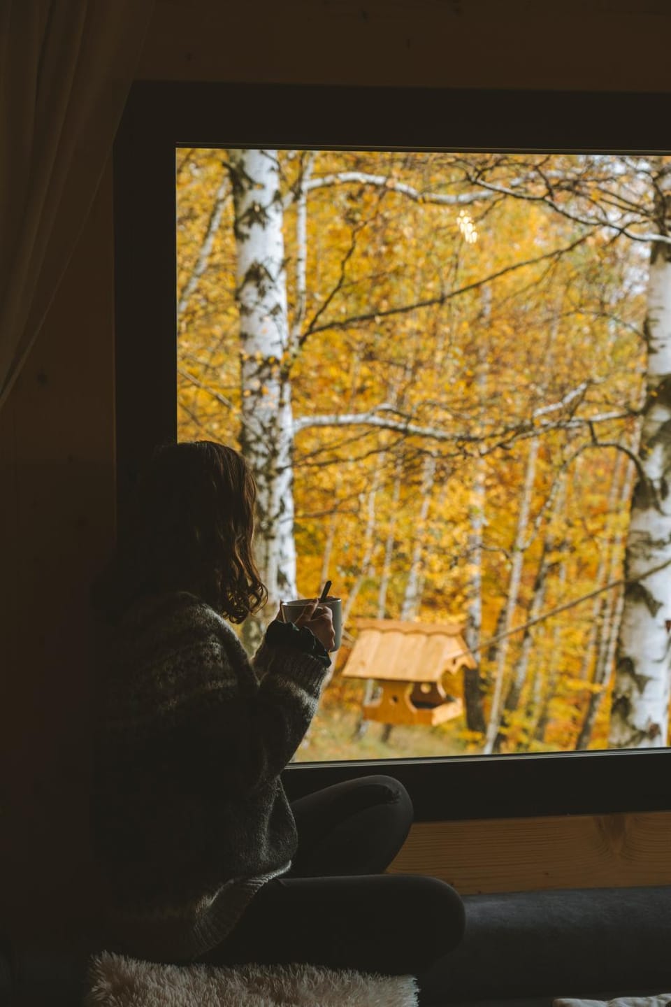 View (from property/room), Autumn, Garden view, Garden view, Drinks, Seasons, Location