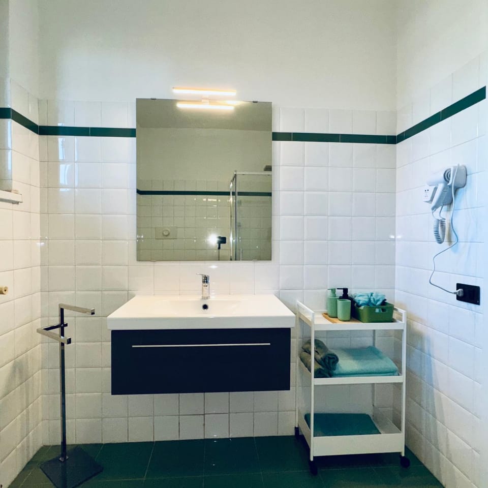 Bathroom, hair dryier, towels