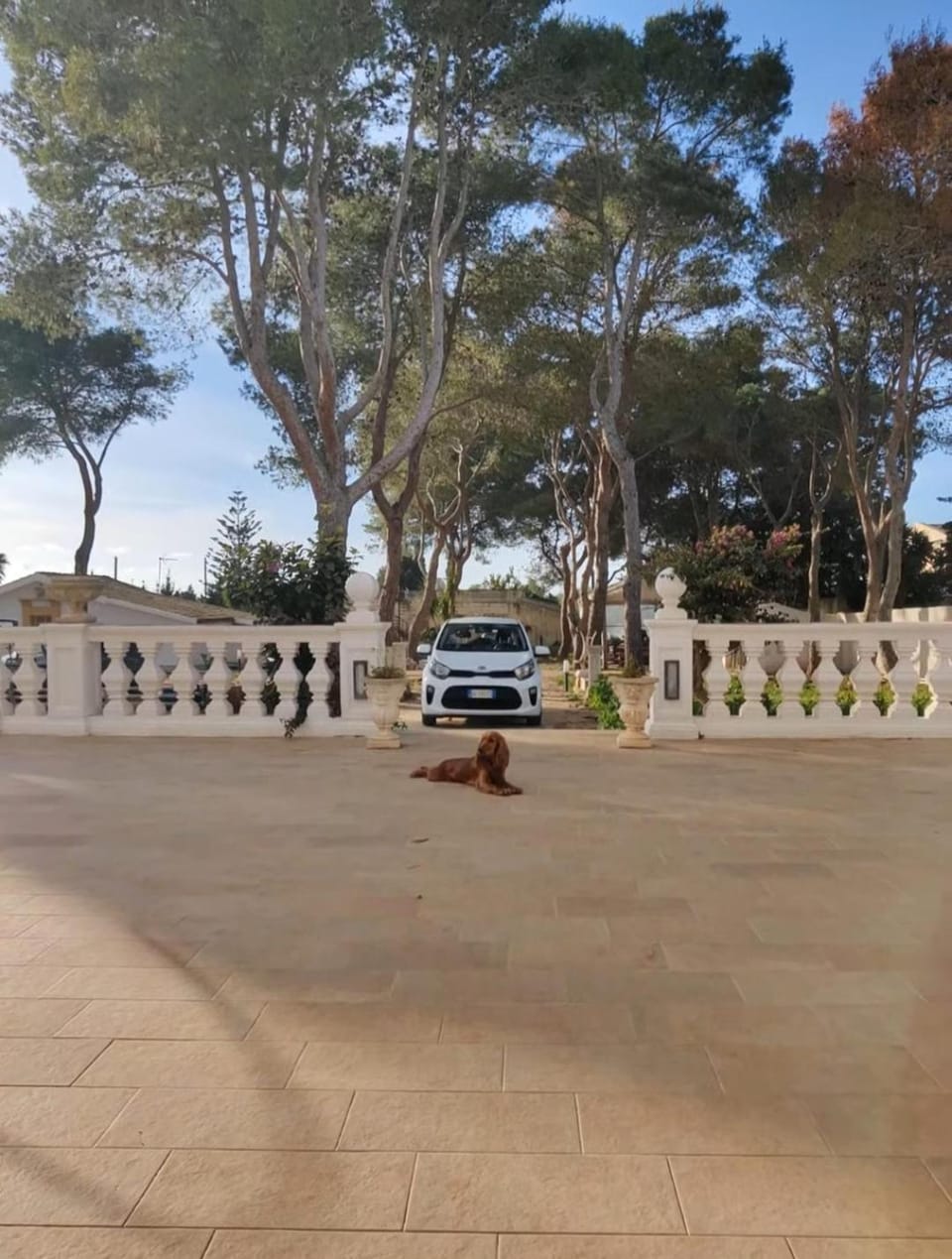 Location