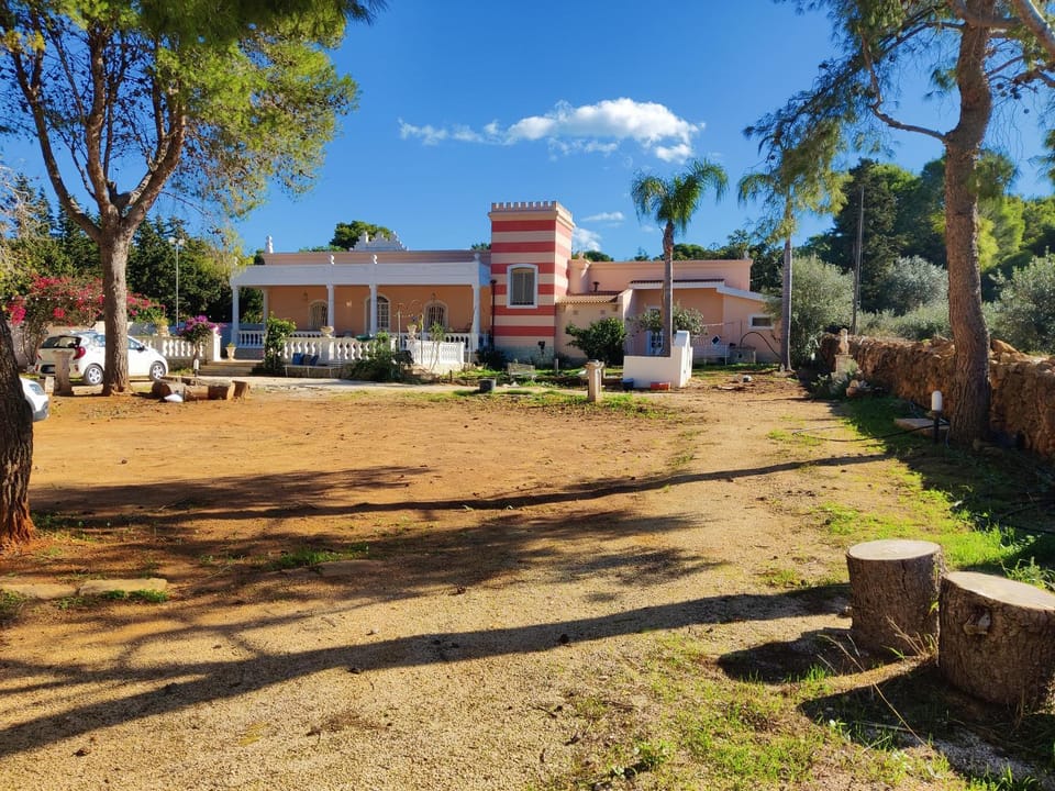 Property building, Garden view