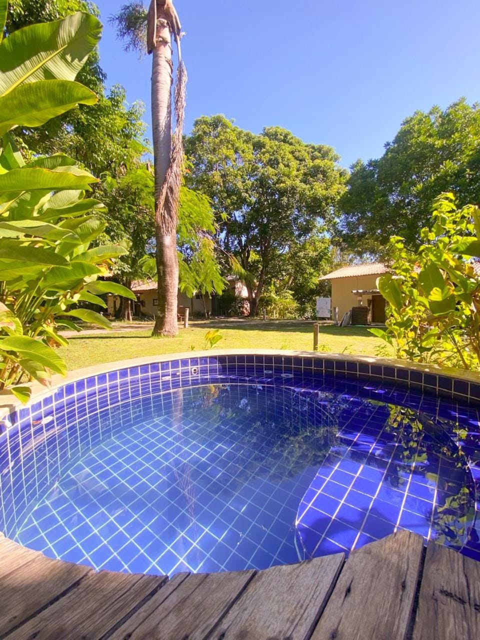 Natural landscape, Garden view, Swimming pool
