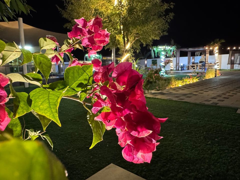 Private farm Pool games Ras alkhaimah Farm Stay in Ajman - United Arab Emirates