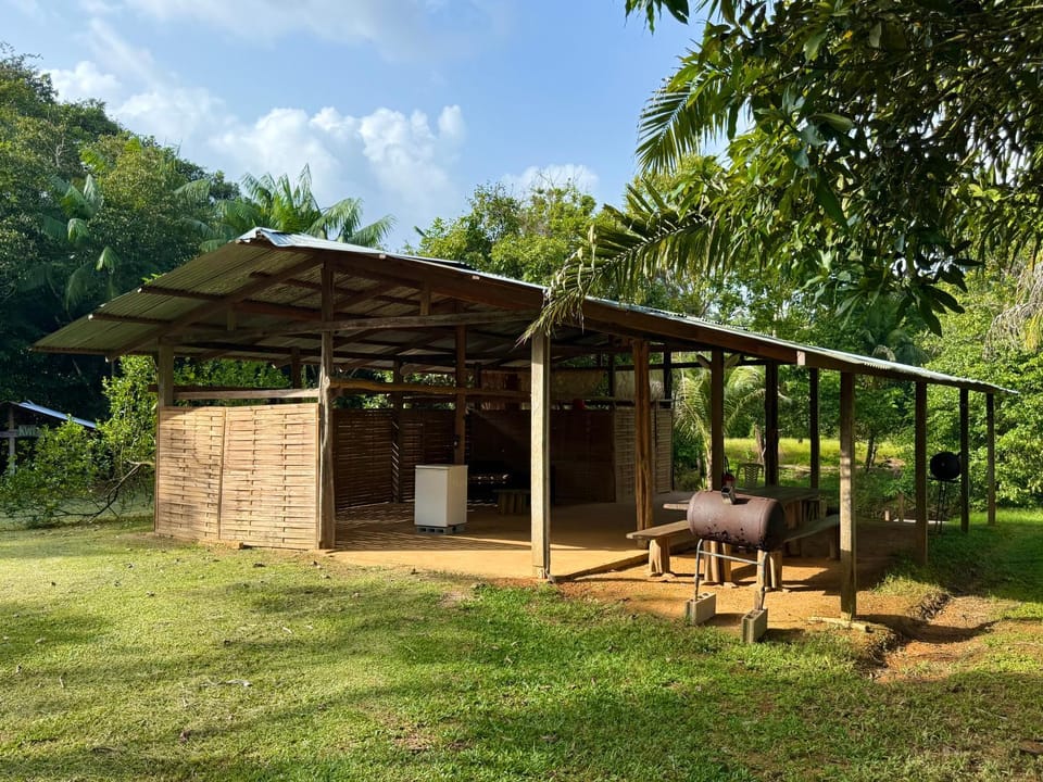 Patio, Day, Natural landscape, Garden view, Breakfast