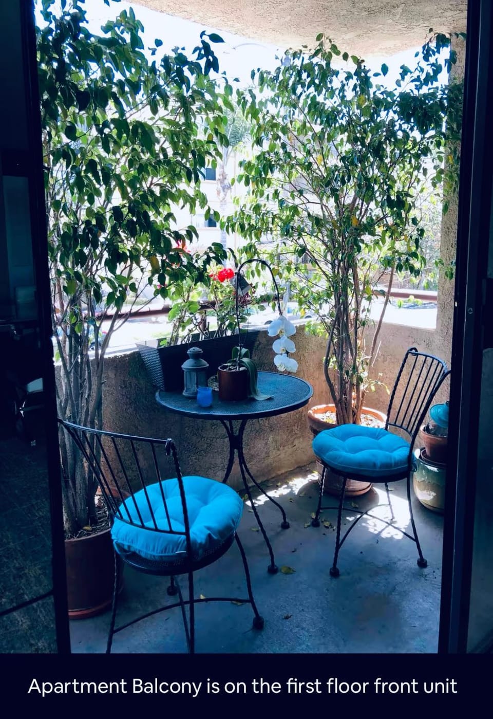 Balcony/Terrace