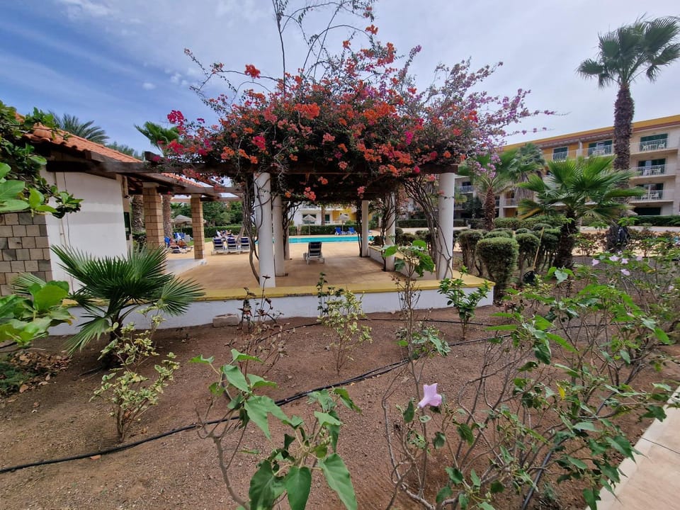 Garden view
