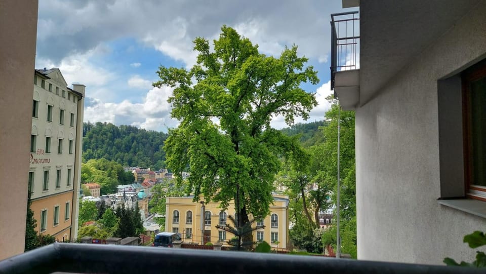 View (from property/room), City view, City view