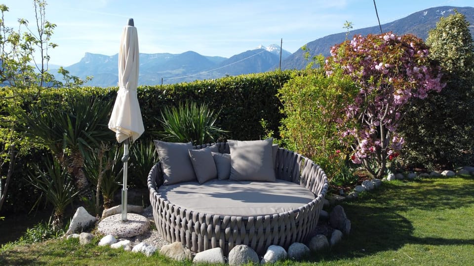 Garden, Swimming pool, sunbed