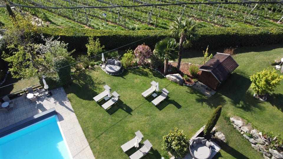 Garden, Swimming pool, sunbed