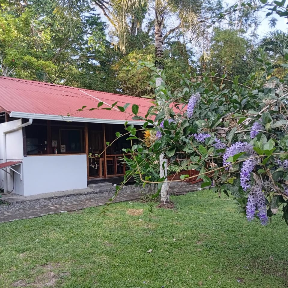 Property building, Garden view