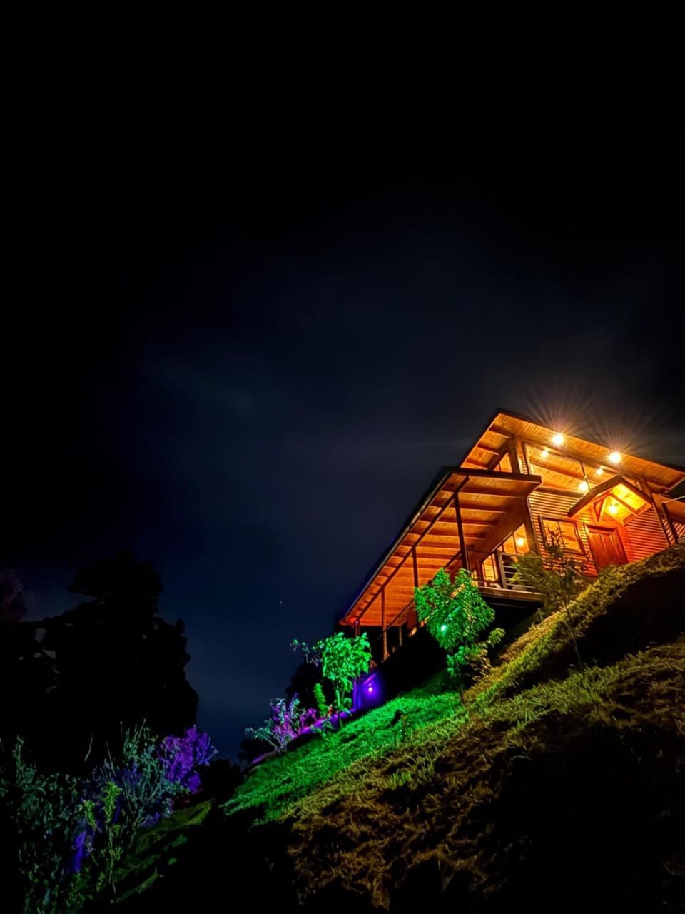 Property building, Night, Garden, Garden view