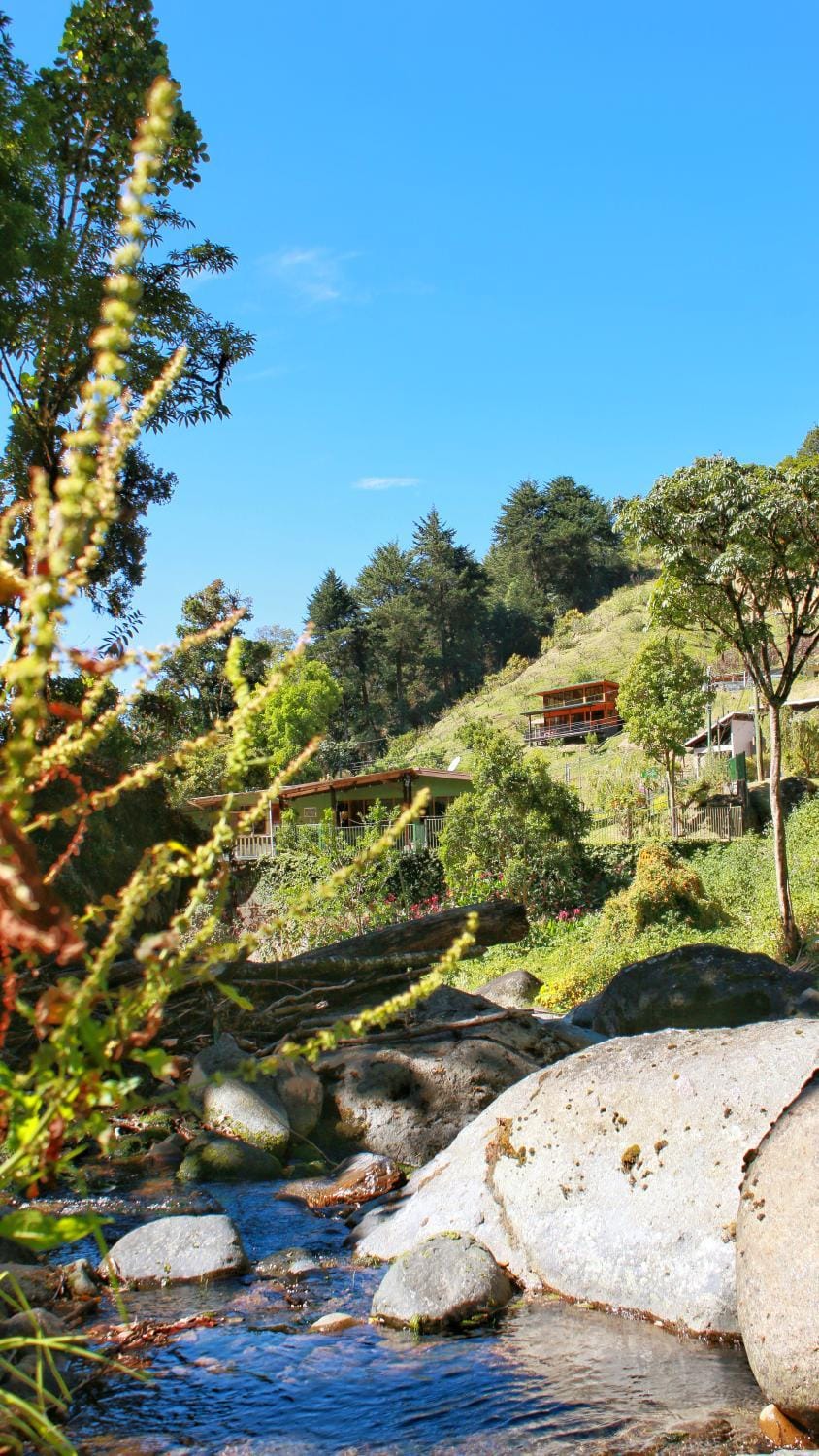 Casa Buena Vista San Gerardo de Dota House in San José Province