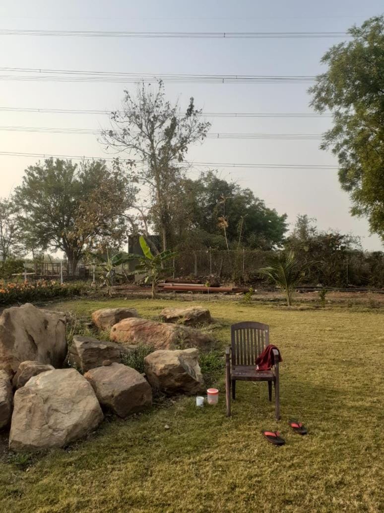 Spring, Day, Natural landscape, Garden, Garden view