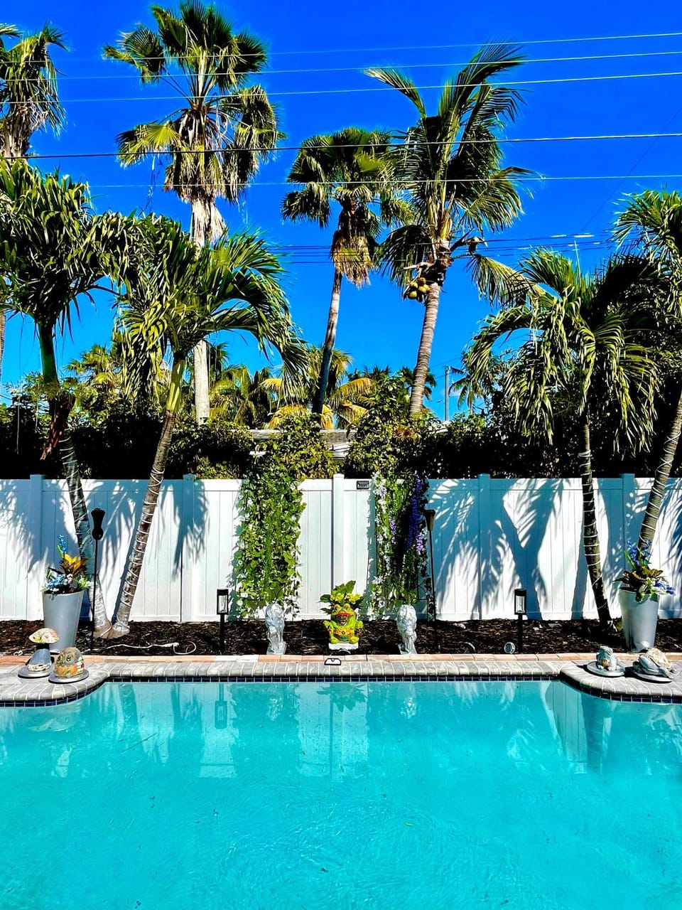 Natural landscape, Pool view