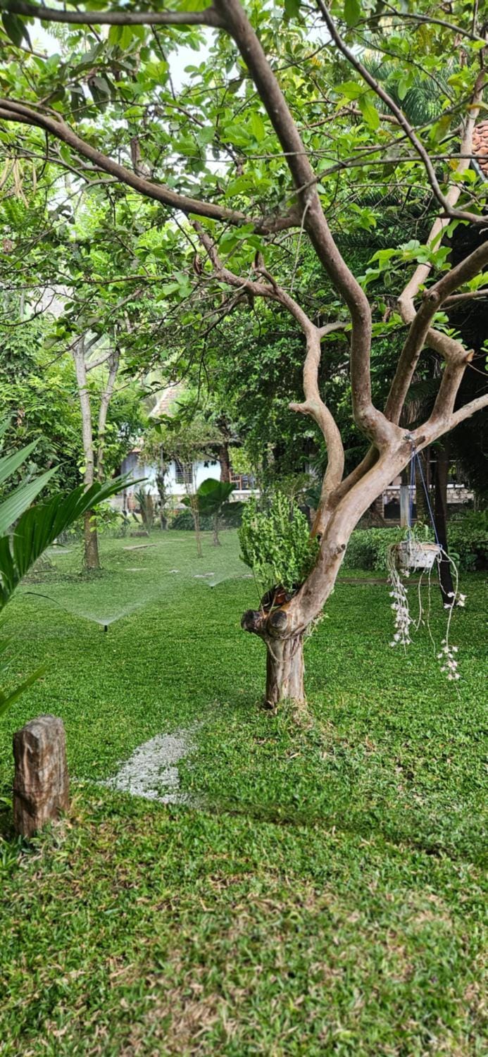 Pannadikadu Homestay Vacation rental in Kerala
