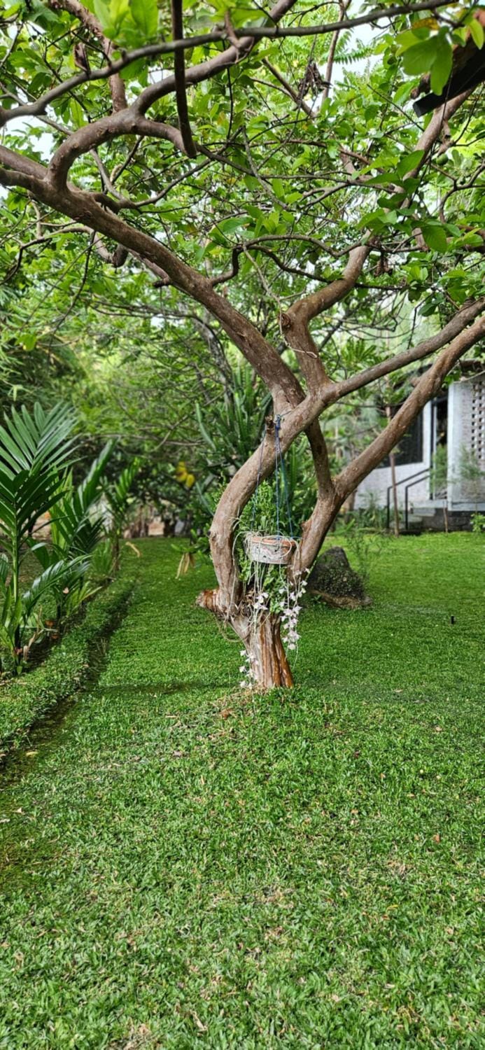 Pannadikadu Homestay Vacation rental in Kerala