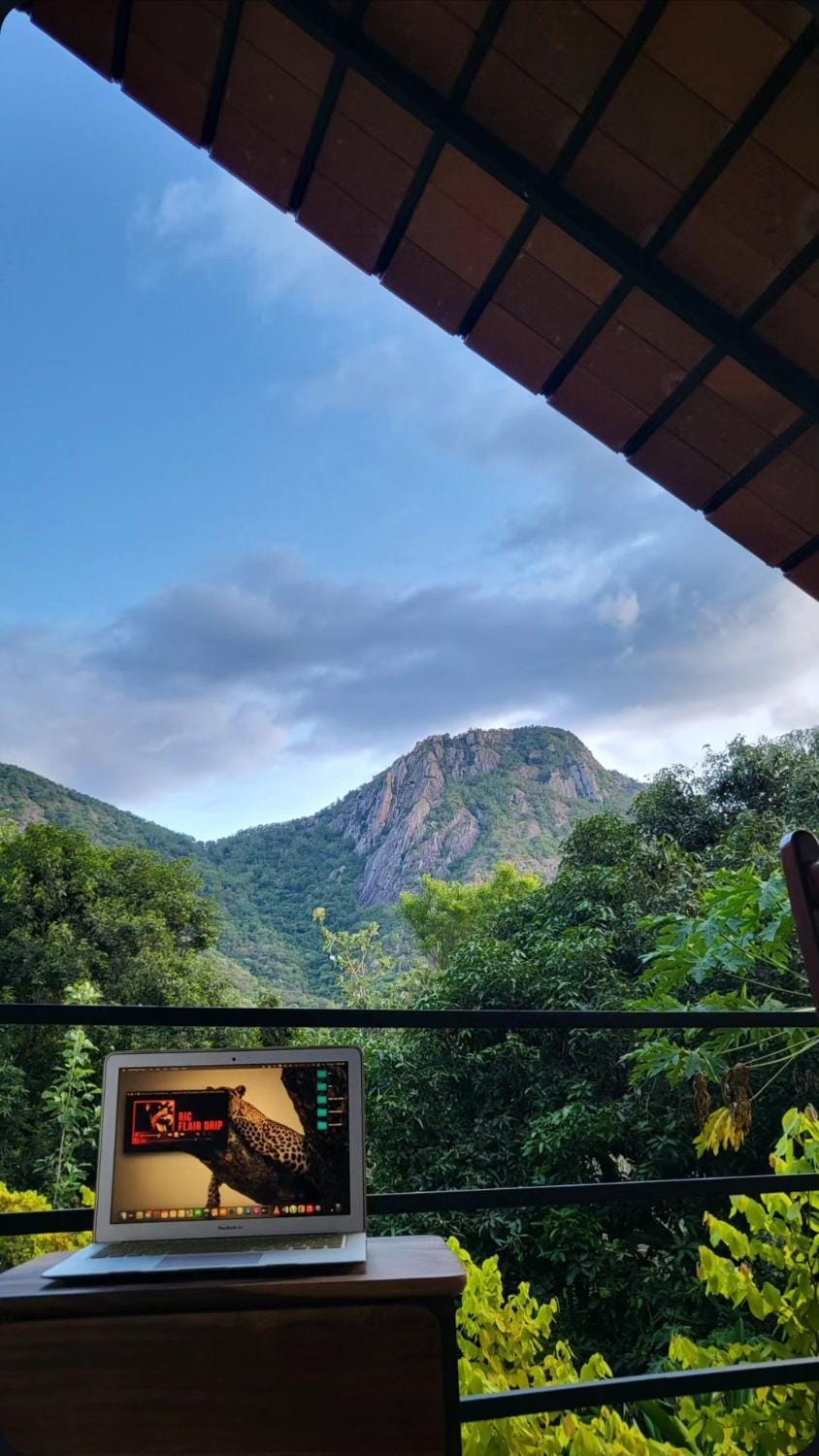 Mountain view