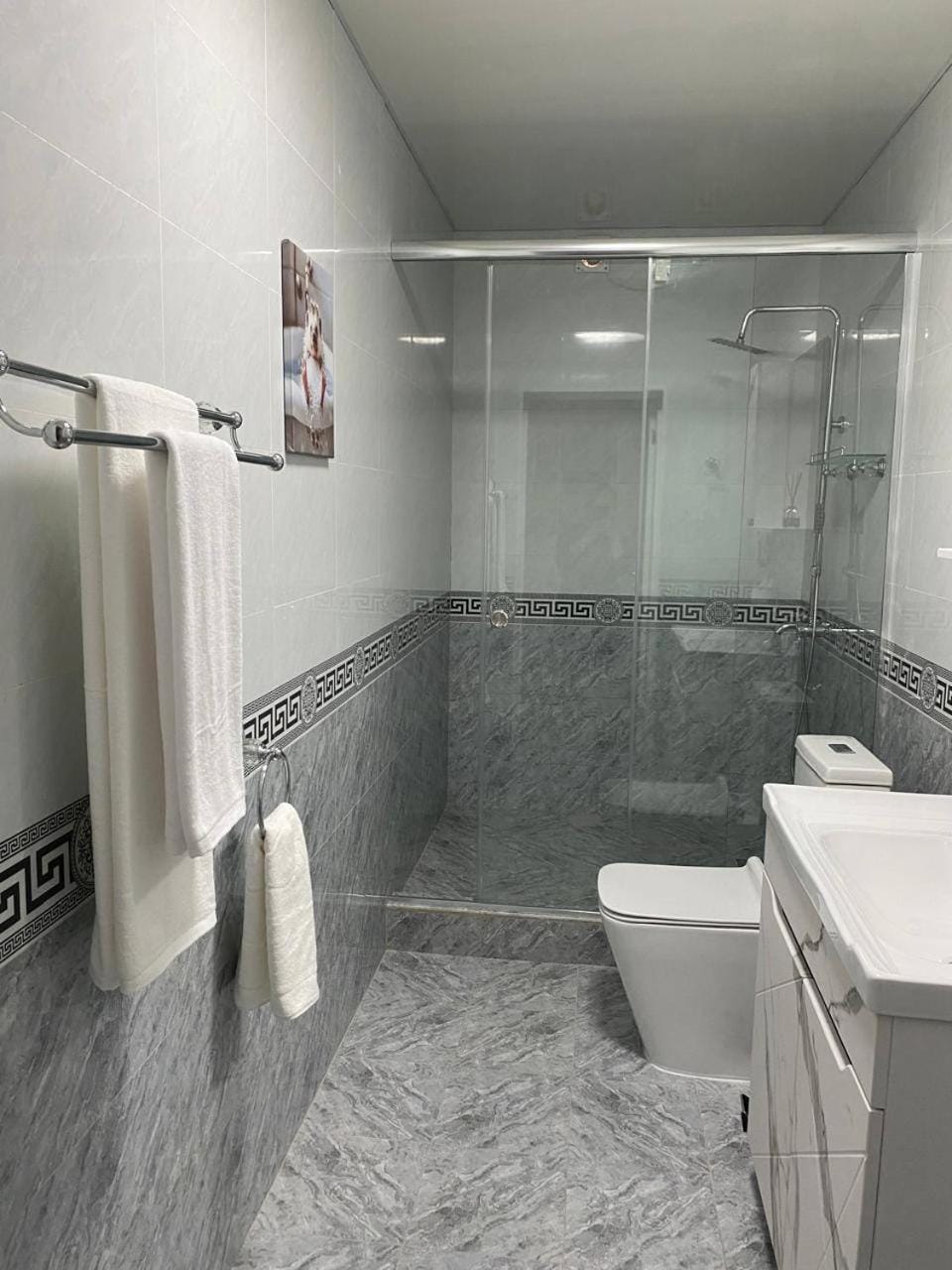 Shower, Toilet, towels