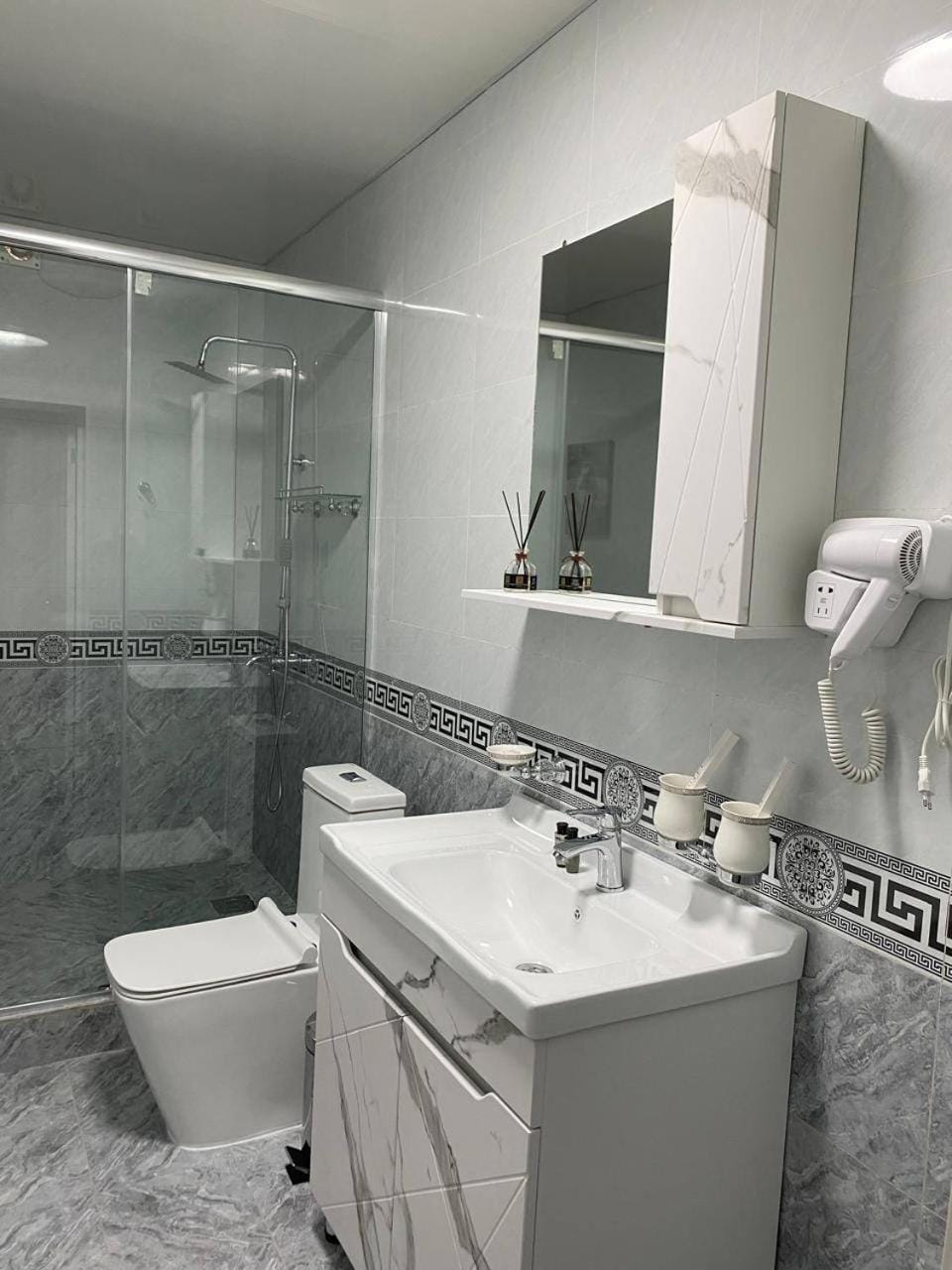 Toilet, hair dryier