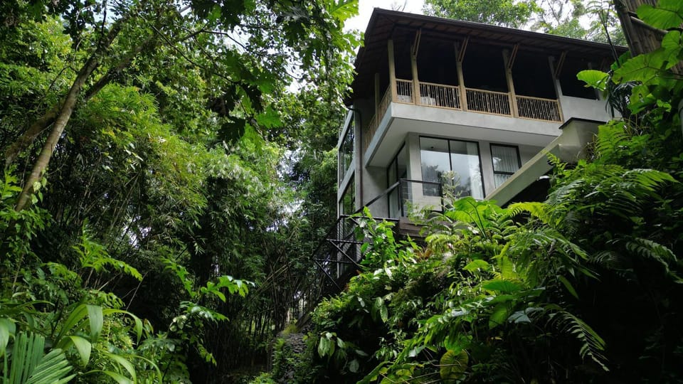 Property building, Spring, Day, Natural landscape, Garden, Garden, Garden view