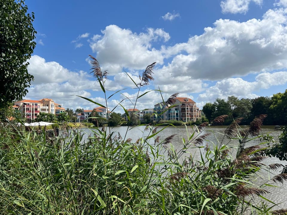 Spring, Day, Natural landscape, Lake view