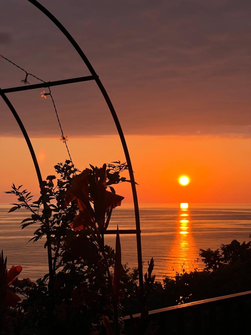 Mandarini Bed and Breakfast in Adjara, Georgia