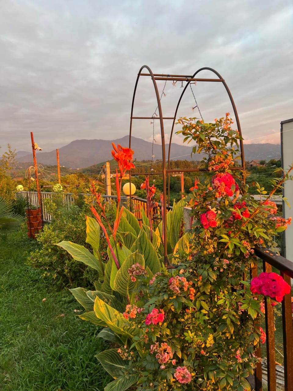 Mandarini Bed and Breakfast in Adjara, Georgia