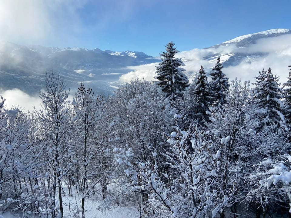 Le Mouton Rouge - Superbe appartement avec terrasse House in Bourg-Saint-Maurice