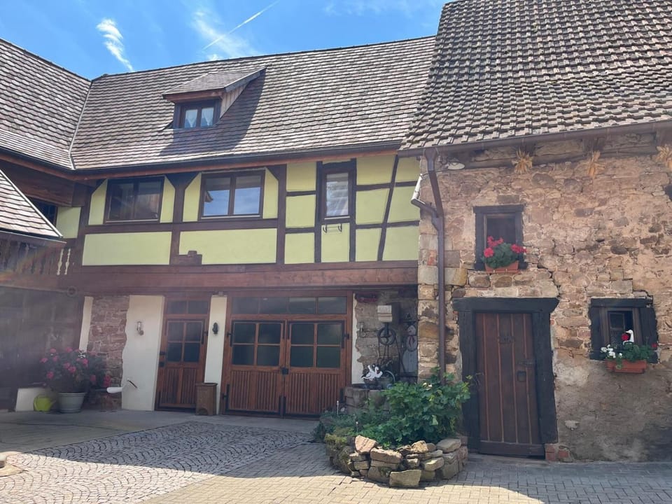 Gite du Val du Pâtre House in Grand Est