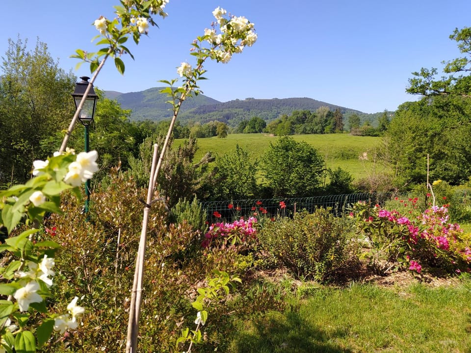 Natural landscape