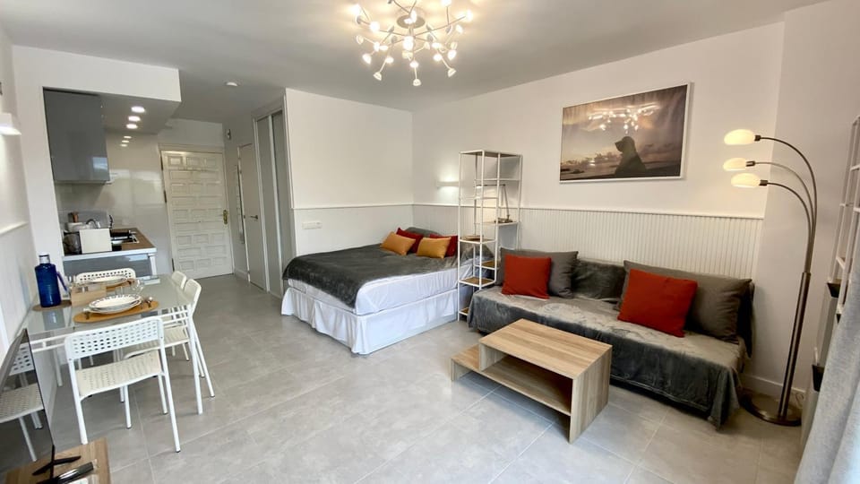 Bed, TV and multimedia, Kitchen or kitchenette, Living room, Photo of the whole room, Seating area, Dining area, Bedroom