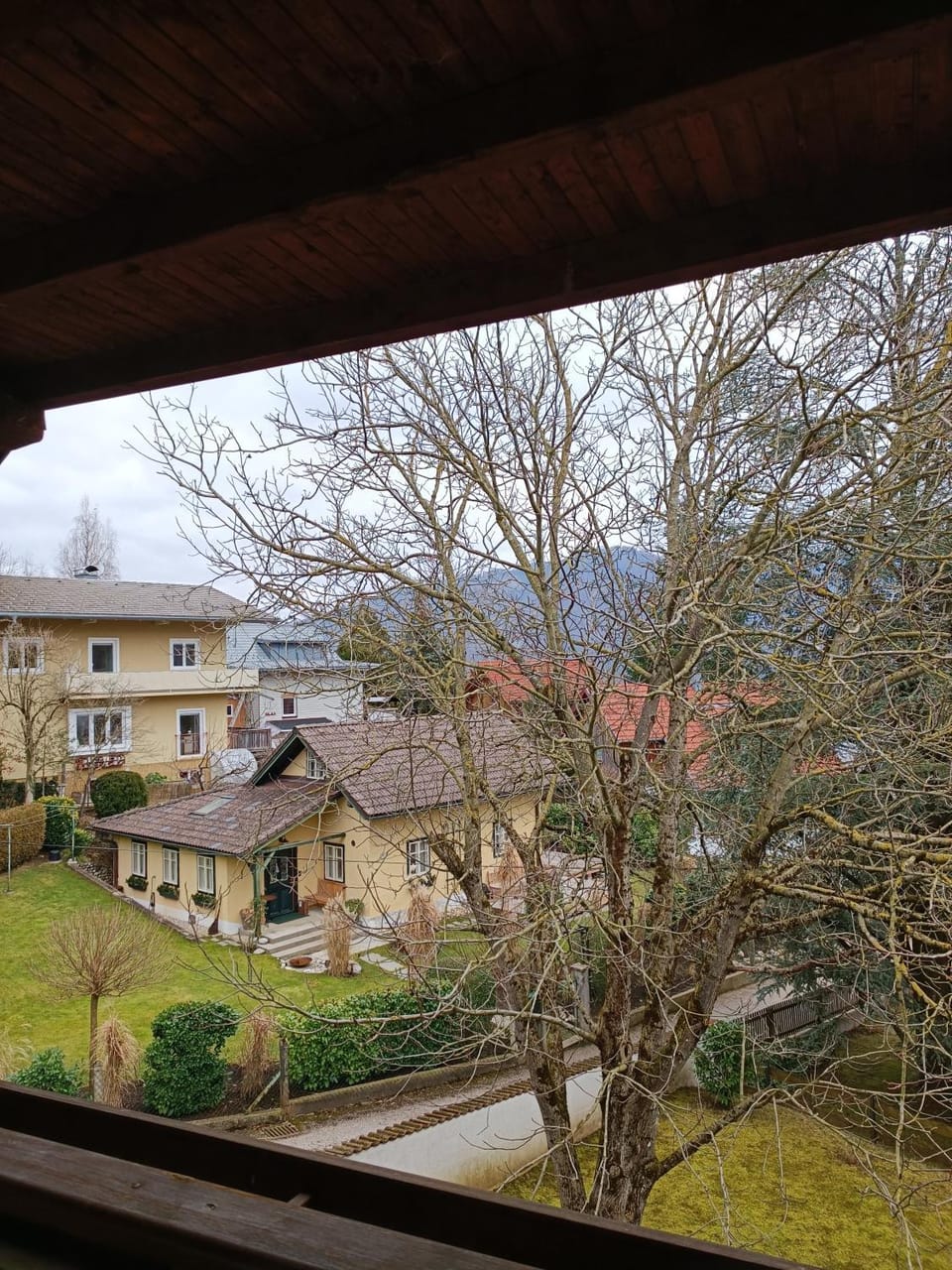 Natural landscape, Garden