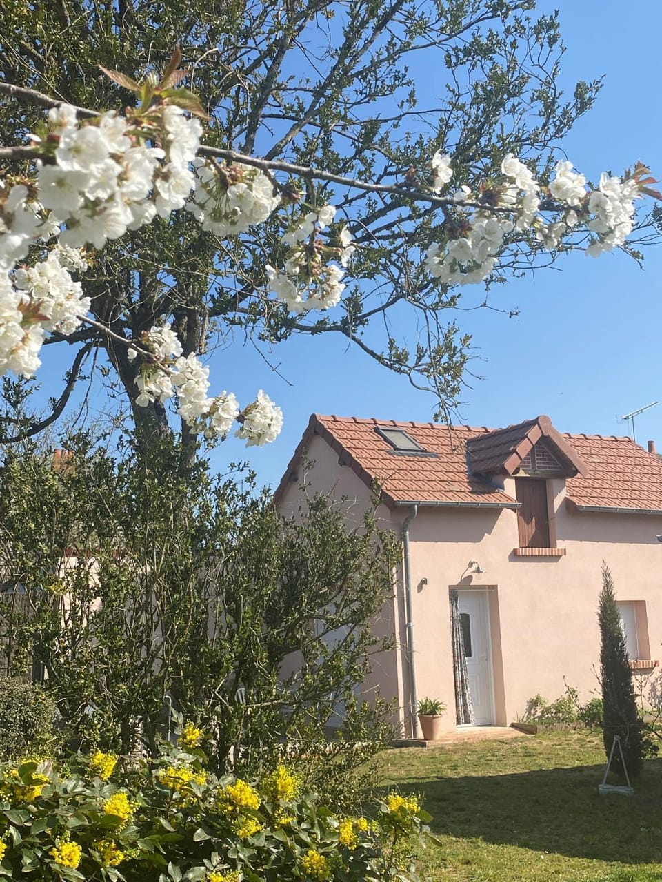 Property building, Spring
