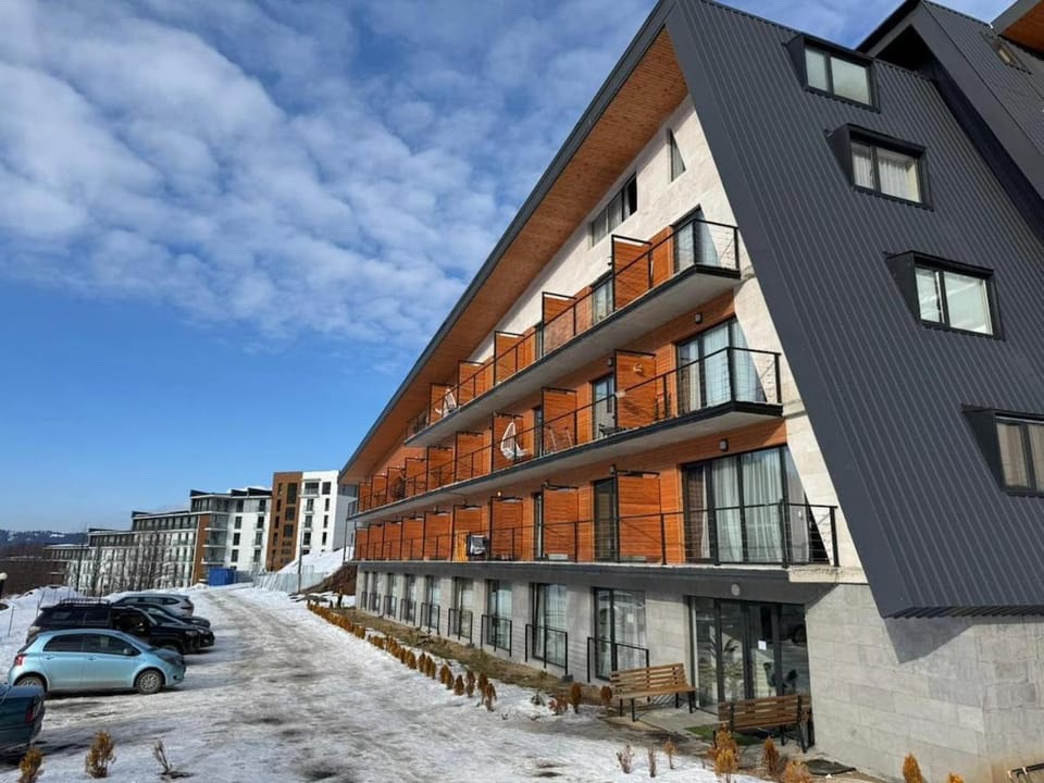 Your Perfect Ski Base in Bakuriani Apartment in Georgia