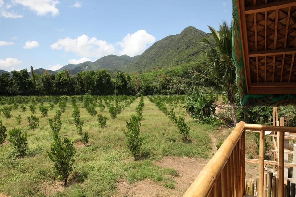 Spring, Day, Natural landscape, Garden, Garden view, Mountain view