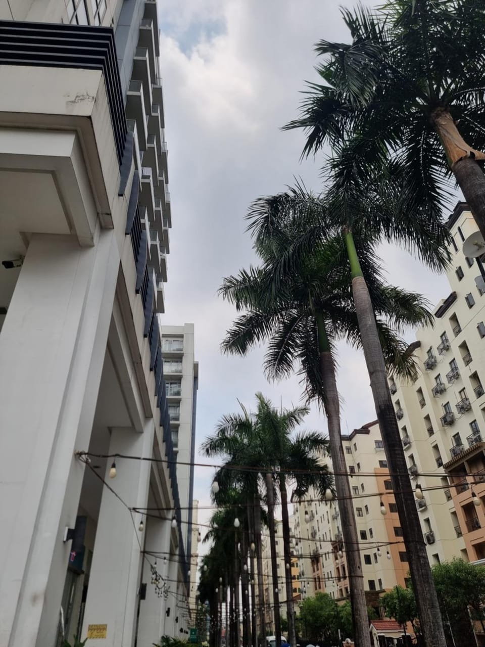 One Palm Tree Villas Apartment in Pasay