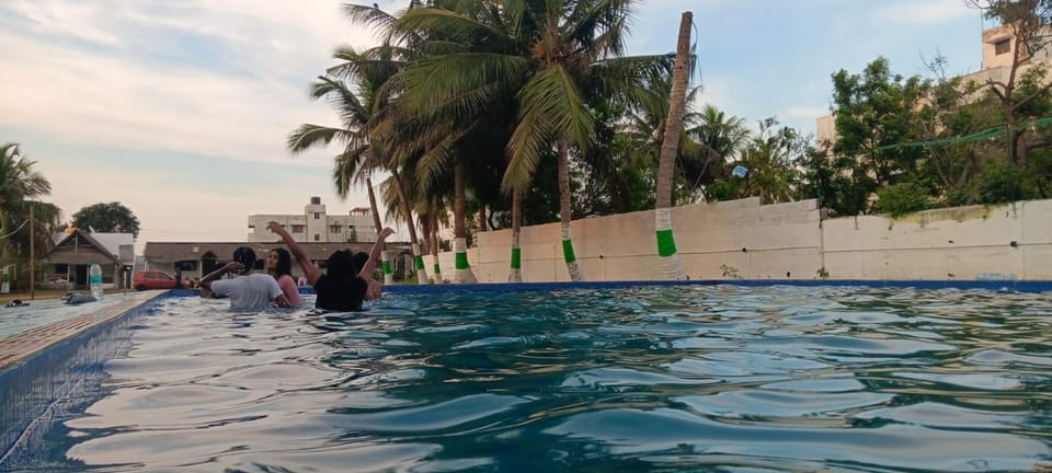 Pool view, Swimming pool, group of guests