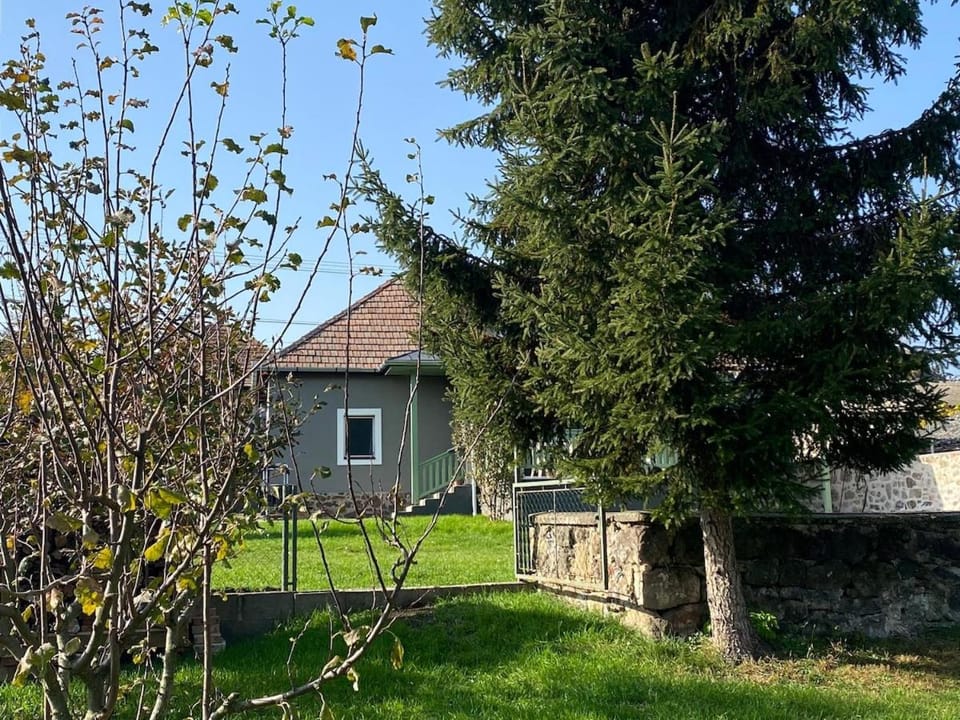 Property building, Garden, Garden view