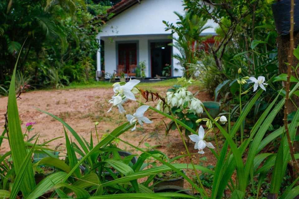 Property building, Garden view