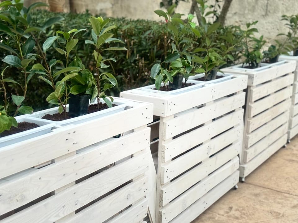 Property building, Garden view
