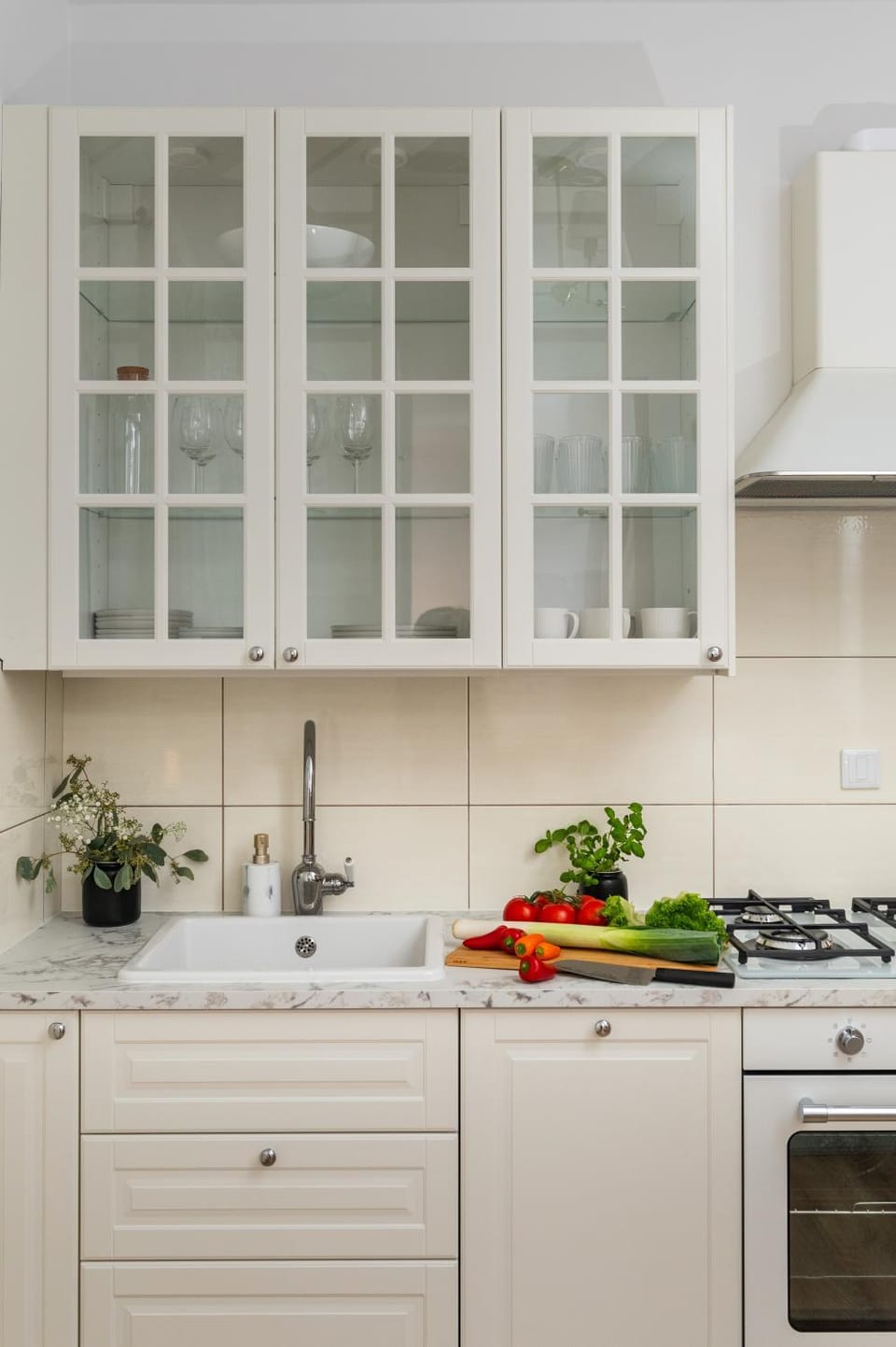 Kitchen or kitchenette, dishwasher, stove