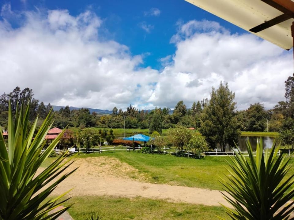 Coffee/tea facilities, View (from property/room)