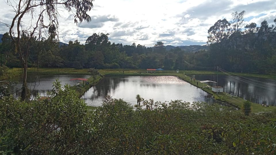 Lake view