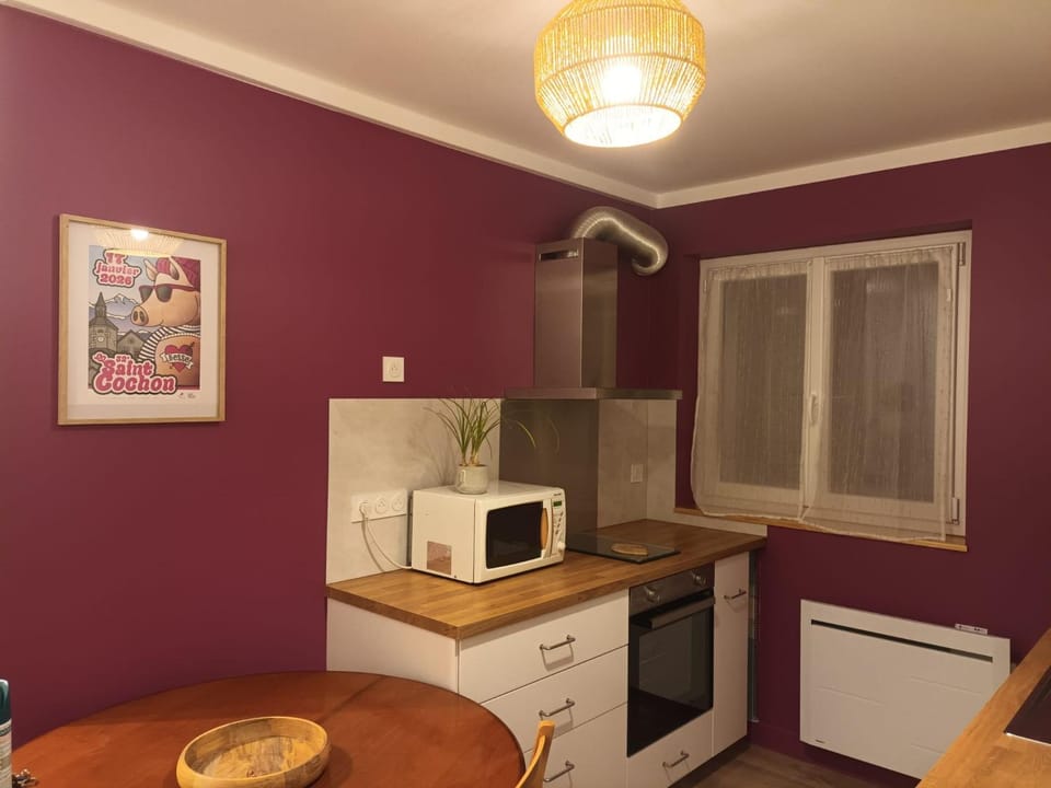 Appartement en plein cœur du Massif du Sancy Apartment in Besse-et-Saint-Anastaise
