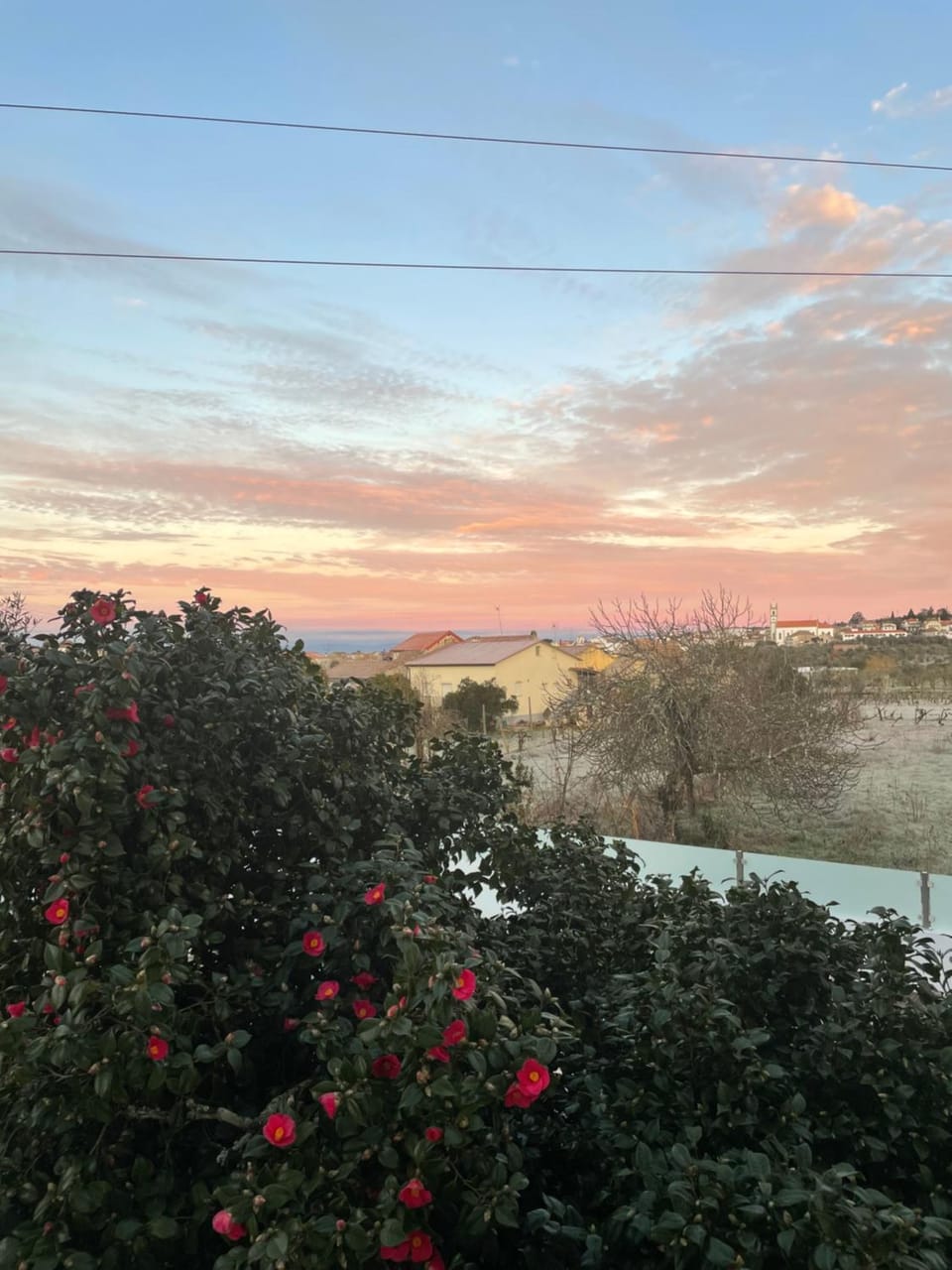 Natural landscape, Garden, Sunset