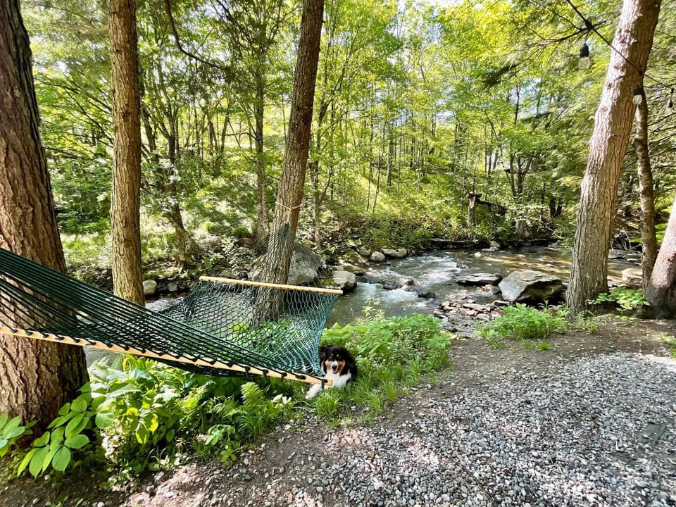 Le 88 Howard - Spa Sauna River & Cute Bridge Chalet in New Hampshire